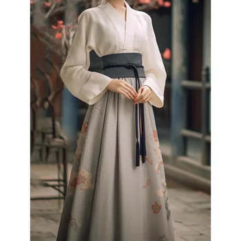 Юбка с мордой лошади Ежедневное лето Новый китайский женский костюм 2024 Новый улучшенный Hanfu Adult Song System Performance Skirt